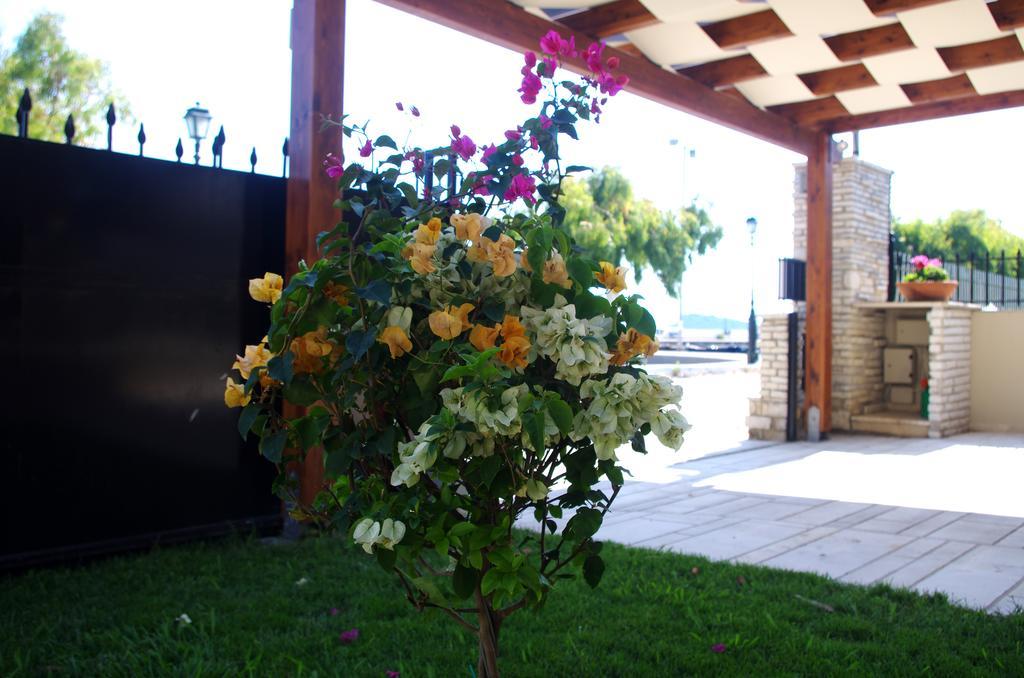 Amaryllis Holiday Home Agios Spyridon  Buitenkant foto